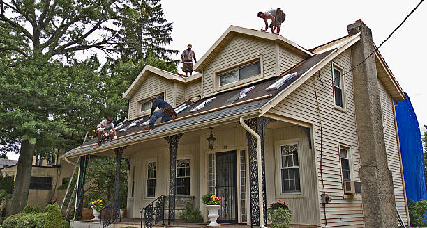 Best Roof Gutter Cleaning  in Lancaster, WI